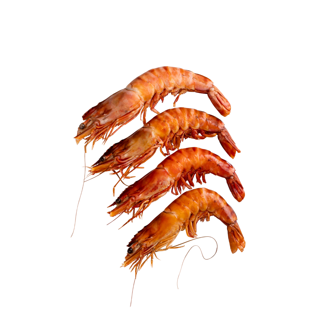 Vildfångad Gambas 10/15